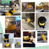 Small Dog Sweaters, Knitted Pet Cat Warm Sweatshirt, Winter Clothes for Kitten Puppy (Small, Yellow)
