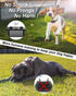 No Shock Dog Training Collar with Remote, 2000ft Range, Waterproof & Rechargeable Vibration Collar for 15-120 lbs