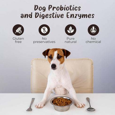 Organic Turkey Tail Mushroom Powder for Pets Health | Immune, Gut & Digestive Support | Non-GMO, Dog & Cat Supplement,