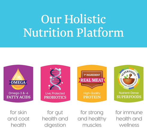 Solid Gold Canned Dog Food for Adult & Senior Dogs, Real Chicken & Whole Grains, Star Chaser High Calorie Wet Dog Food