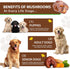 QwsYaay Immune, 60ml Turkey Tail Mushroom for Dogs, Mushroom Blend, Turmeric & Probiotic for Digestive & Joint Support