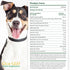 Ocu-GLO Vision Supplement for Medium to Large Dogs, 45ct