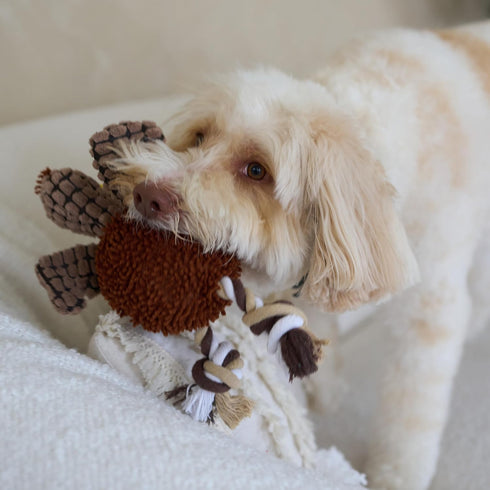 SPOT 12" Gigglers Chicken Dog Toy with Giggle Sound, Textured Plush Tug Toy with Rope Legs, for Small and Medium Dog