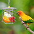 Hypeety Parrot Foraging Feeder, Stainless Steel, 4.09 x 4.09 x 3.85 in, Bird-safe, Dishwasher Safe, Filled with Nuts,