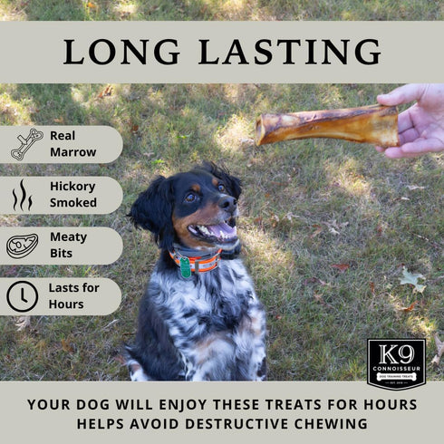 K9 50 3 Pack Connoisseur Beef Marrow Large Dog Bones Long Lasting for Aggressive Chewers - USA Made Single Ingredient