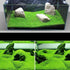 2 Pack Aquarium Small Leaf Grass, Creates Lush Green Carpet for Fish Tanks