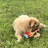 Dewonch Dog Fleece Rope Teaser Toy, Replacement for Chase and Tug (A-2PCS)