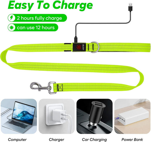 4 Ft LED Dog Leash, Waterproof Rechargeable Light Up Leash for Night Walking, Nylon Reflective with Padded Handle
