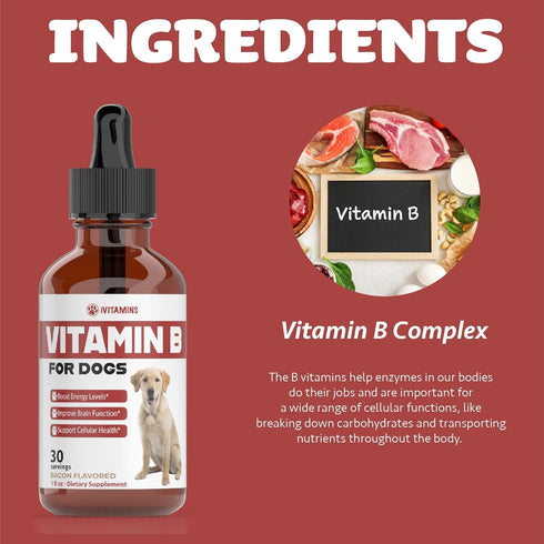 iVitamins B12 B12 B12 Do1 oz: Vitamin B for Dogs | Vitamin B Complex for Dogs | Vitamin for Dogs | Dog Vitamins |