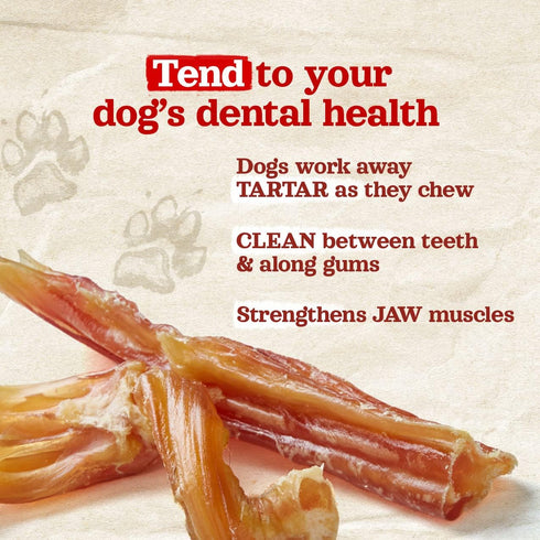 Natural Farm Extra-Thick Beef Tendons (4-6 Inch, 6 Pack), Supports Healthy Joints, Great for Dental Health, All Dog