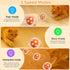 4 VIWIK Cat Toys for Bored Indoor Adult Cats, Interactive Automatic Motion Activated Kitten Ball Toy, Hide and Seek
