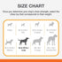 Nylabone Strong Chew Cone Stuffable Chew Toy for Dogs, Bacon Flavored Fillable Treat Toy, Large/Giant