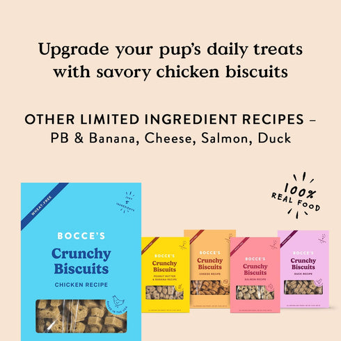 Bocce's Bakery Oven Baked Chicken Recipe Treats for Dogs - Wheat-Free, All-Natural Chicken, 14 oz