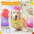 Weewooday 15 Pcs Summer Pet Bandanas, Cute Dog Triangle Bib Scarf, Hawaii Style Flamingo Fruit Leaf Pattern
