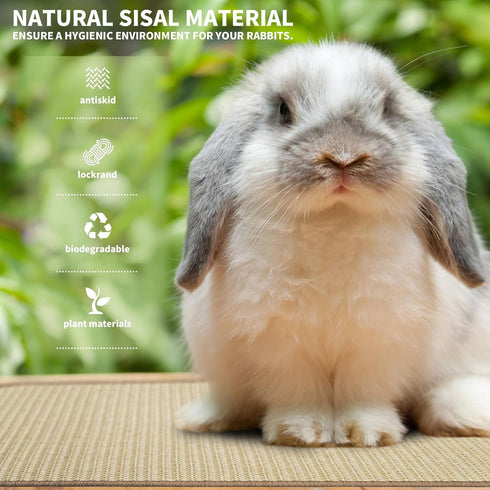YOIYINI 2Pcs Mat,16 12 Inch Rabbit Scratch x Sisal Rabbit Scratching Pad,Rabbits Scratching Mats for Cages,Claws