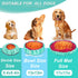 Vivifying Snuffle Mat for Dogs, Interactive Sniff Mat for Slow Eating and Mental Stimulation