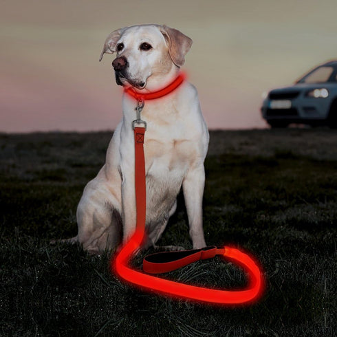 LED Dog Leash, USB Rechargeable Light Up Nylon Glowing Pet Leash for Night Walking (Red?)