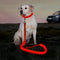 LED Dog Leash, USB Rechargeable Light Up Nylon Glowing Pet Leash for Night Walking (Red?)