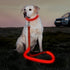 LED Dog Leash, USB Rechargeable Light Up Nylon Glowing Pet Leash for Night Walking (Red?)
