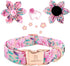 Lionheart Glory Dog Collar, Pink Dog Collar with Flower, Cute Floral Pattern Pet Collar Adjustable Dog Collar for X-Large Dogs