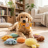 40 Included(Kawaii,4.3-5.9") Leitee Pcs Cat Toys Bulk Interactive Chew Toys for Indoor Cats, Small Plush Soft Kitten