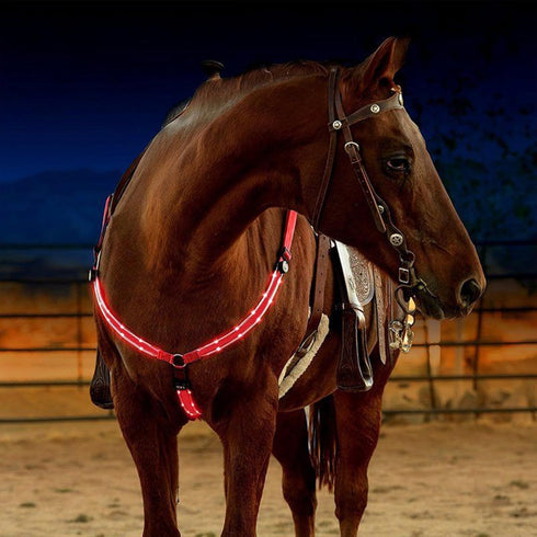 SSZYace Adjustable LED Horse Breastplate Collar, Nylon Night Flashing Light Bar Harness with 3 Modes (Red)