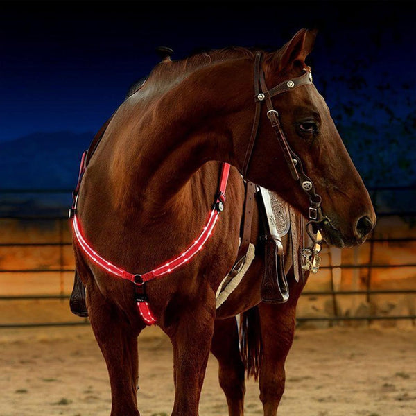 SSZYace Adjustable LED Horse Breastplate Collar, Nylon Night Flashing Light Bar Harness with 3 Modes (Red)