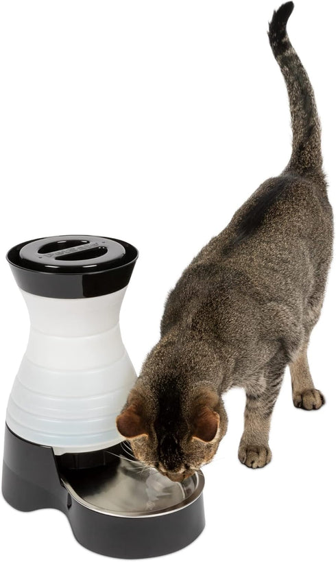 PetSafe Healthy Pet Water Station - Small, 64 oz Capacity, Gravity Waterer with Removable Stainless Steel Bowl