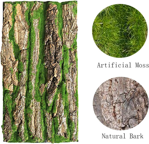 PINVNBY Reptile Cork Terrarium Background, Natural Bark Backdrop with Artificial Moss, 15.75"×11.8"