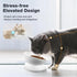 Elevated Cat Bowl, Ceramic Tilted Cat Food Bowl, Anti Vomiting, Stress Free on Neck and Spine, Spill-Proof, Anti-Tipping, Dishwasher Safe, Raised Cat Bowls for Indoor Cats, Dry/Wet Food, White