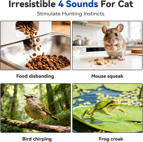KiwiLove 7-Hole Interactive Cat Toy with Motion Activated Ball & Play Mat, Hide and Seek Exercise Game for Indoor Cats