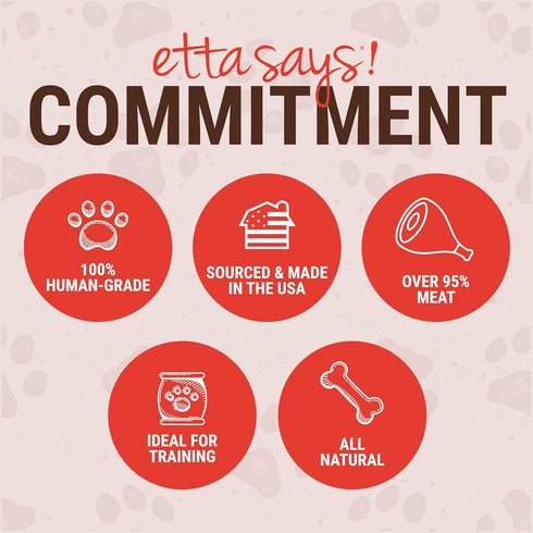 Yumm 12 Count etta says! Sticks Natural Dog Treats - Beef Dog Jerky Treats - Human-Grade Jerky for Dogs - Made in The