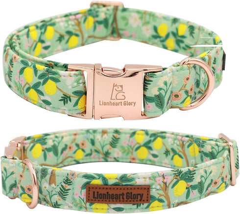 Lionheart Glory Premium Floral Dog Collar, Adjustable Soft Collars for X-Small Small Medium Large Dogs