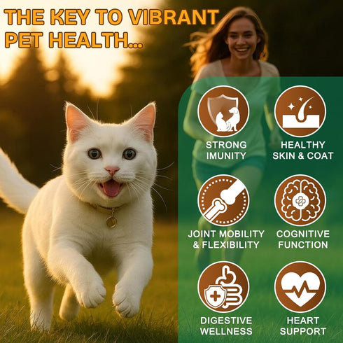 IRSRDOQU 11 Immune 120g Mushroom Supplement Powder for Dogs & Cats, Beneficial Mushroom Complex for Support, Cellular