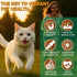 IRSRDOQU 11 Immune 120g Mushroom Supplement Powder for Dogs & Cats, Beneficial Mushroom Complex for Support, Cellular
