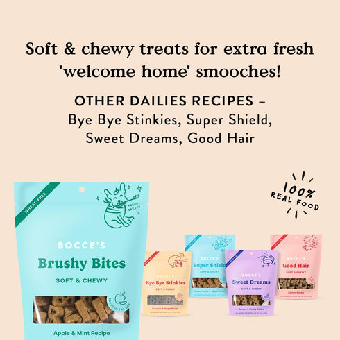 Bocce's Bakery Dailies Brushy Bites Dog Treats - Wheat-Free Wellness Support, Apple & Mint Recipe, 6 oz