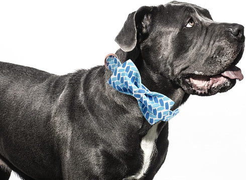 Adjustable Blue Print Dog Bow Collar, Durable Bowtie for Small Medium Large Dogs