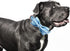 Adjustable Blue Print Dog Bow Collar, Durable Bowtie for Small Medium Large Dogs