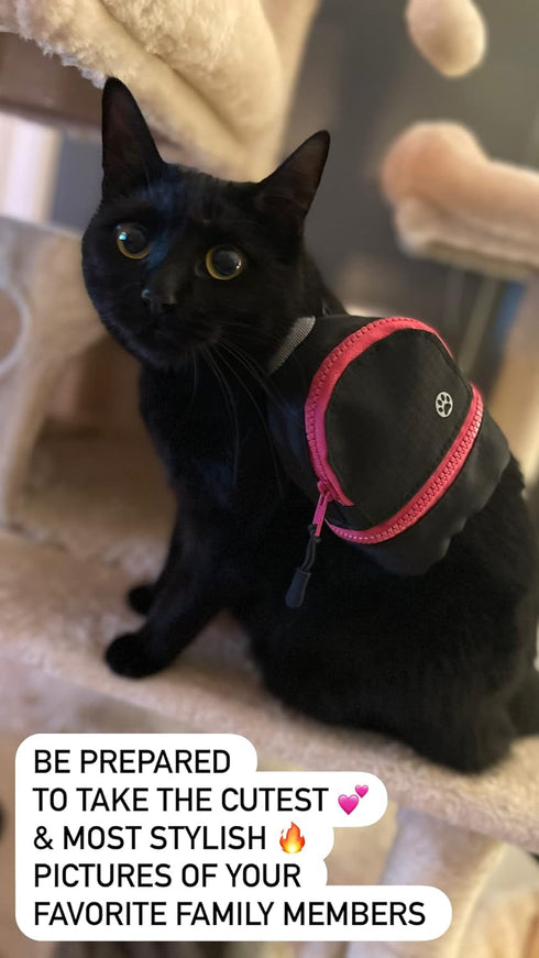 LLC Dog and Cat Backpack, Small Carrier with Clip on Harness, Fun Pet Treat Holder, OG Neon Series, Pink Black