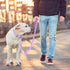 Waterproof Dog Leash for Medium Large Dogs, Standard with 2 Hooks, Adjustable Lengths for Safety, Durable Odor Proof
