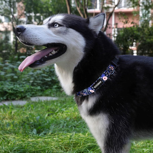 KISSBAK Medium Dog Collar, Soft Adjustable Floral Design for Cute Girl Puppy Dogs (M, Pineapple Flower)