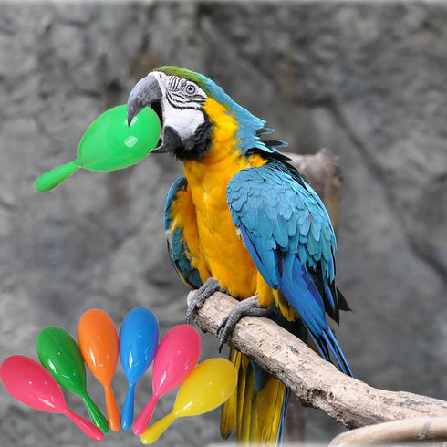 TTFdacai 6 Hammer Pcs Parrot Rattle Shaker Musical Sound Toy Funny Bell Toys Mini Sand Bird Parrot Toys for Chicken
