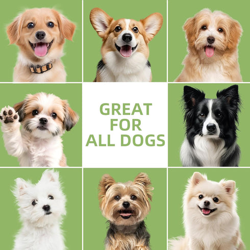 8 Puppy Shampoo for Puppies Weeks Old, Gentle Tearless Dog Shampoo for Smelly Dogs, Deodorizing Dog Shampoo with Aloe