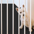 120'' 60'' Drydiet Extra Large Dogs Playpen Mat Kennel Flooring for Dogs x Washable Floor Covering Reusable Waterproof