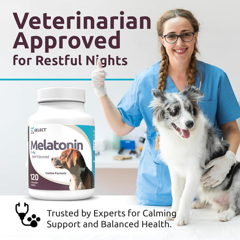K9 Select Melatonin for Dogs, Composure Dog Calming Chews, 3 mg, 120 Beef Flavored Chewable Tablets