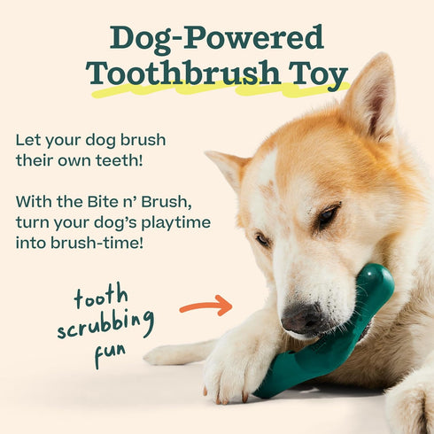 36 2 Pack WOOF - Bite n' Brush Refills Treats for the Dog Toothbrush Toy - Scrub Plaque and Tartar from Your Dog's