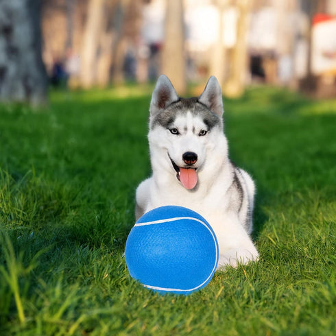 EXPAWLORER Dog Toy Ball (9.5’’ Giant Tennis Balls) for Dogs, Interactive Large Floating Toy