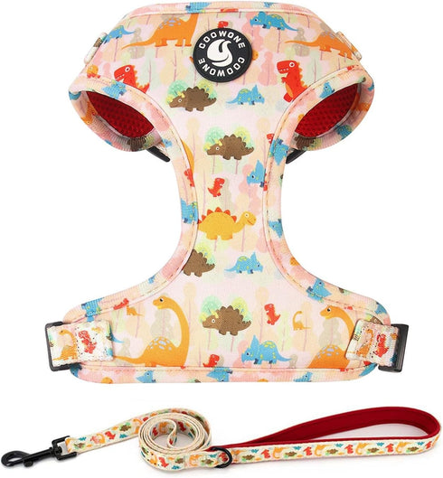 Dog Harness and Leash Set, Adjustable No Pull No Choke Puppy Harnesses for Walking Training
