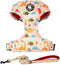 Dog Harness and Leash Set, Adjustable No Pull No Choke Puppy Harnesses for Walking Training