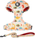Dog Harness and Leash Set, Adjustable No Pull No Choke Puppy Harnesses for Walking Training